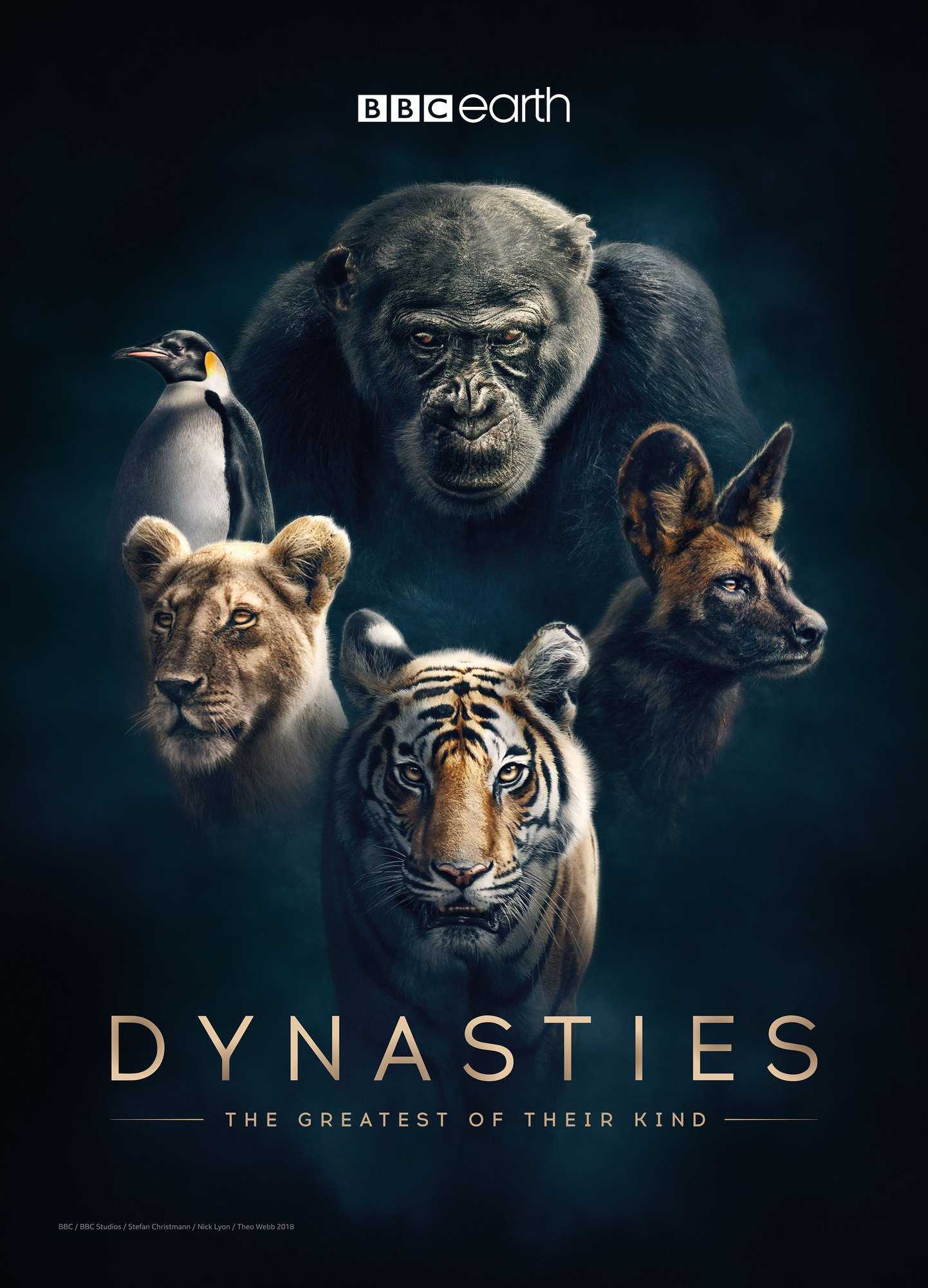 مشاهدة مسلسل Dynasties موسم 1 حلقة 5 والاخيرة