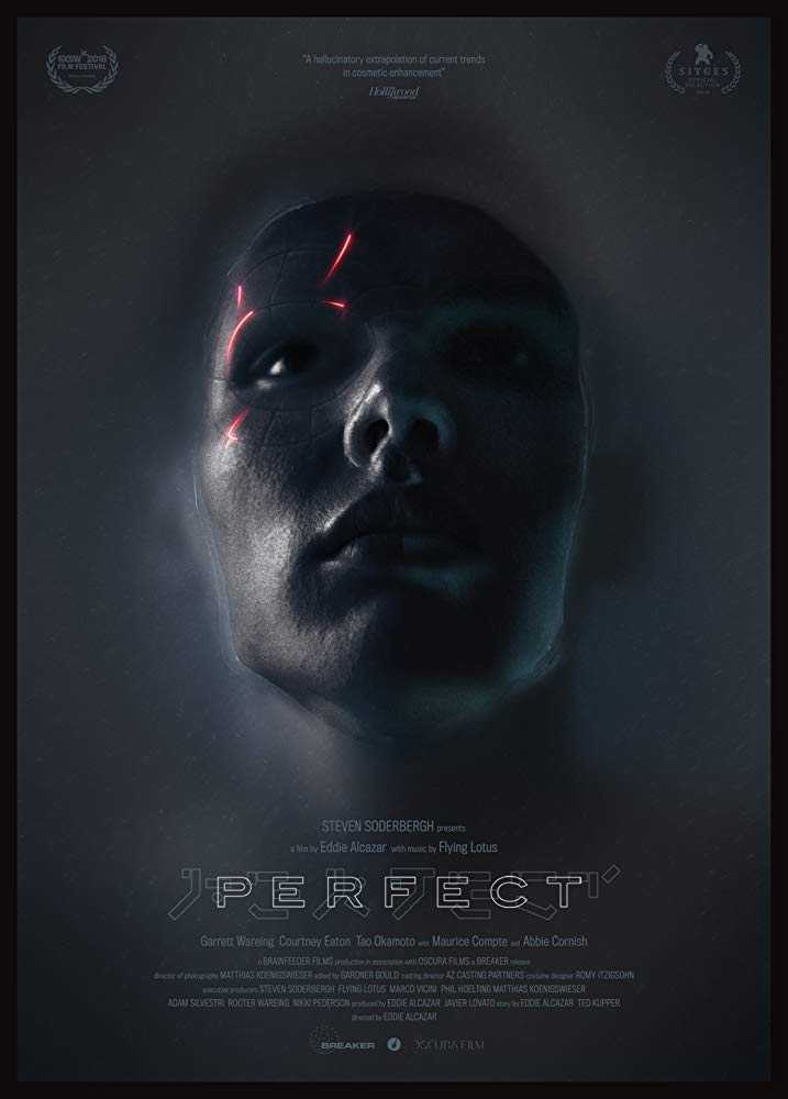 مشاهدة فيلم Perfect 2018 مترجم