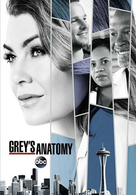 مشاهدة مسلسل Greys Anatomy موسم 14 حلقة 19