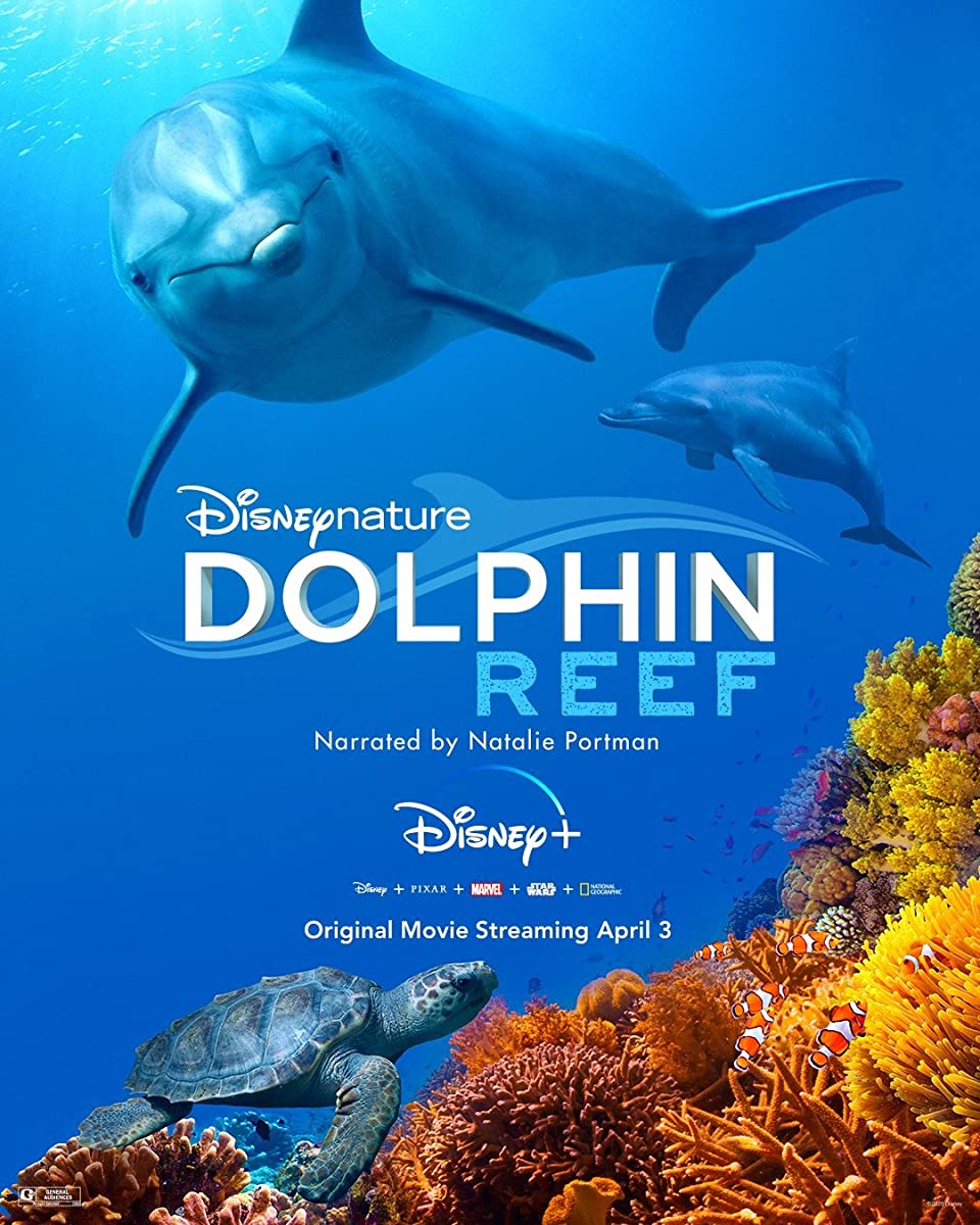 مشاهدة فيلم Dolphin Reef 2020 مترجم