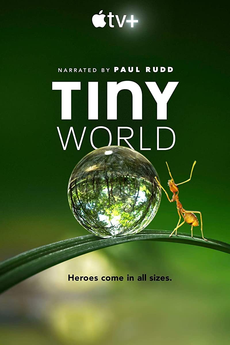 مشاهدة مسلسل Tiny World موسم 1 حلقة 1