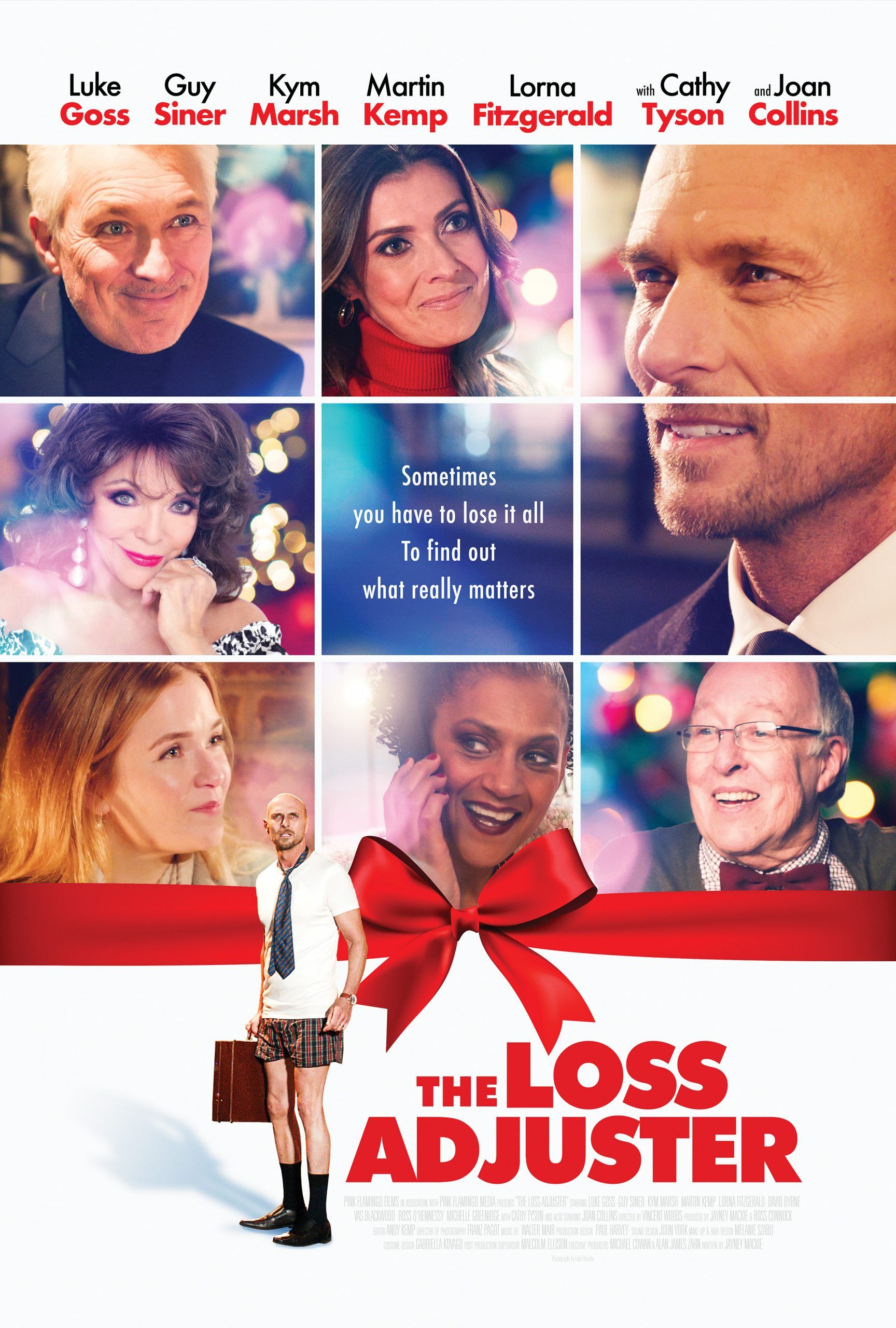 مشاهدة فيلم The Loss Adjuster 2020 مترجم