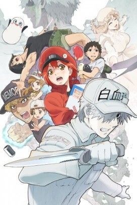 مشاهدة انمي Hataraku Saibou!! موسم 2 حلقة 9