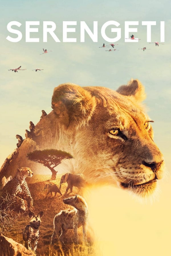 مشاهدة مسلسل Serengeti موسم 2 حلقة 2