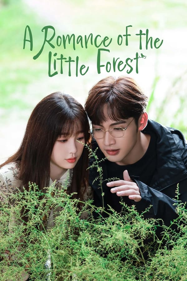 مشاهدة مسلسل A Romance of the Little Forest موسم 1 حلقة 6